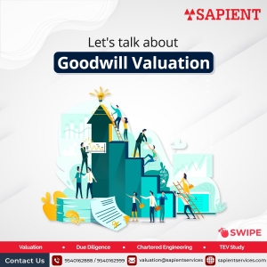 Understand Valuation Of Goodwill with Sapient Services